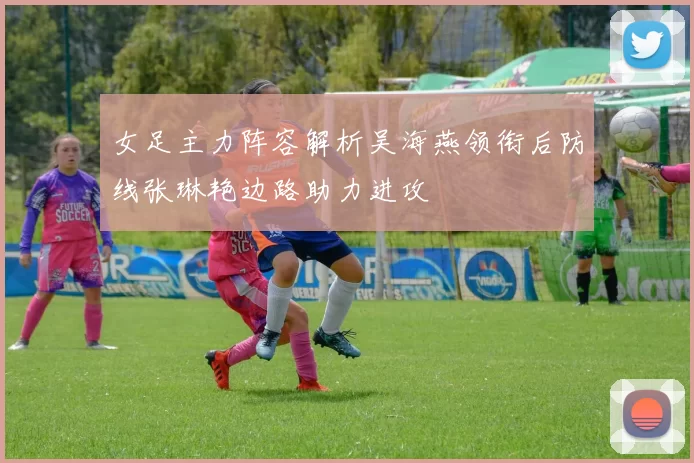 女足主力阵容解析吴海燕领衔后防线张琳艳边路助力进攻